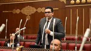 برلماني: التنسيق المصري الإماراتي ركيزة أساسية لدعم أمن واستقرار المنطقة
