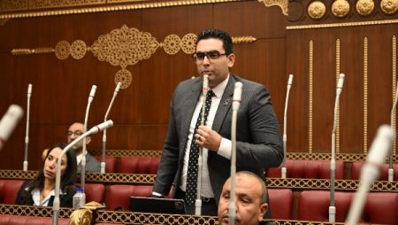 برلماني: التنسيق المصري الإماراتي ركيزة أساسية لدعم أمن واستقرار المنطقة