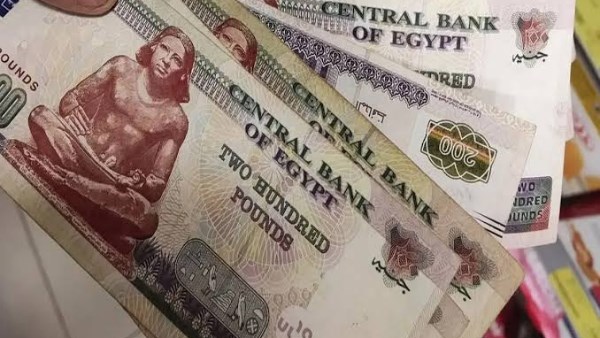 التأمينات جاهزة لصرف معاشات أغسطس