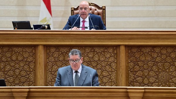 وكيل دفاع النواب: مشروع قانون إنشاء جامعة «كيان» يستهدف تأسيس صرح أكاديمي متطور