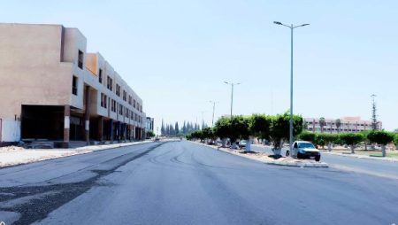 وزيرة الإسكان تتابع موقف مشروعات التطوير والبنية الأساسية والمرافق بمدينة السادات