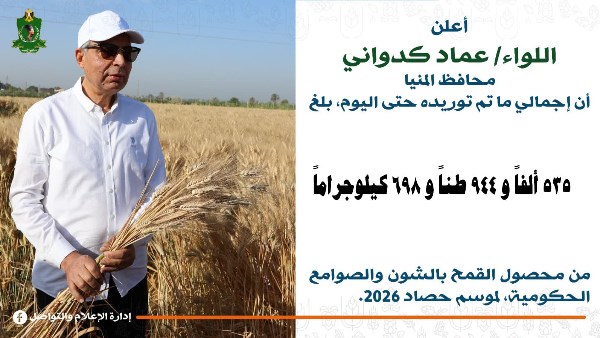 محافظ المنيا: انتظام أعمال توريد القمح واستلام 536 ألف طن من الموردين