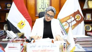 محافظ الوادي الجديد تعتمد الخطة السكانية للمحافظة للعام 2027/2026