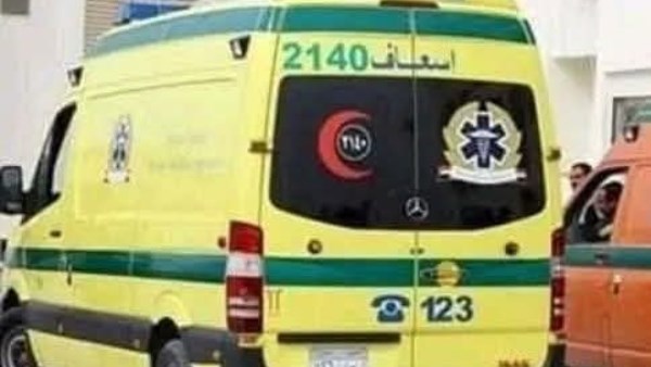 بالأسماء: كانا يعبران الطريق معًا.. فعادا إلى أسرتهما أحدهما جثمانًا والآخر مصابًا بنزيف في المخ