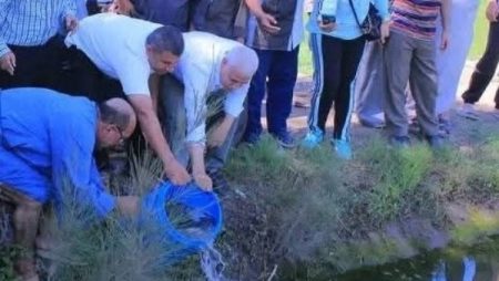 زراعة الشرقية تنفذ مشروع الزراعة التكاملية بتنزيل الزريعة السمكية في حقول الأرز