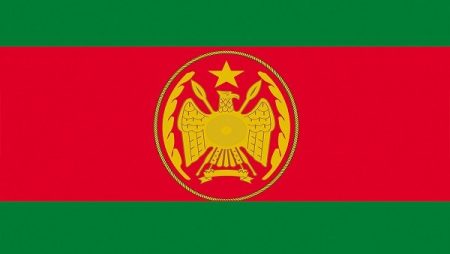 الجيش الصومالي يعلن القضاء على 27 عنصرًا إرهابيًا في شبيلي السفلى جنوبي البلاد