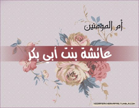 في ذكرى رحيل أم المؤمنين عائشة رضي الله عنها.. سيرة ملهمة تجمع بين العلم والورع ومكانة فريدة