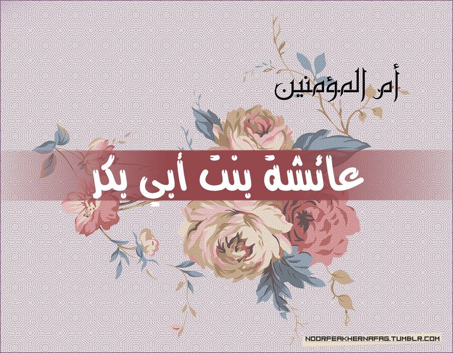 في ذكرى رحيل أم المؤمنين عائشة رضي الله عنها.. سيرة ملهمة تجمع بين العلم والورع ومكانة فريدة
