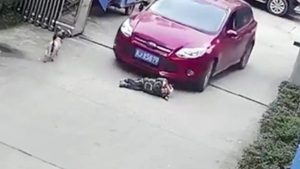 عاوز يموتني .. استغاثة شاب من اعتداء والده عليه في الشارع بالشيخ زايد
