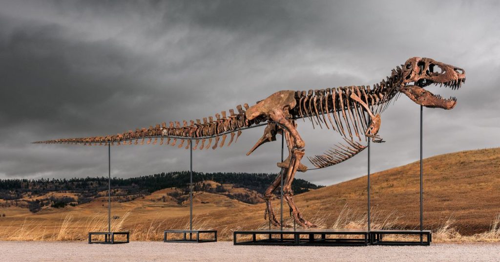 مزاد Sotheby’s Big T. Rex يثير مخاوف من أن الضجيج والثروة يقلبان العلم رأسًا على عقب