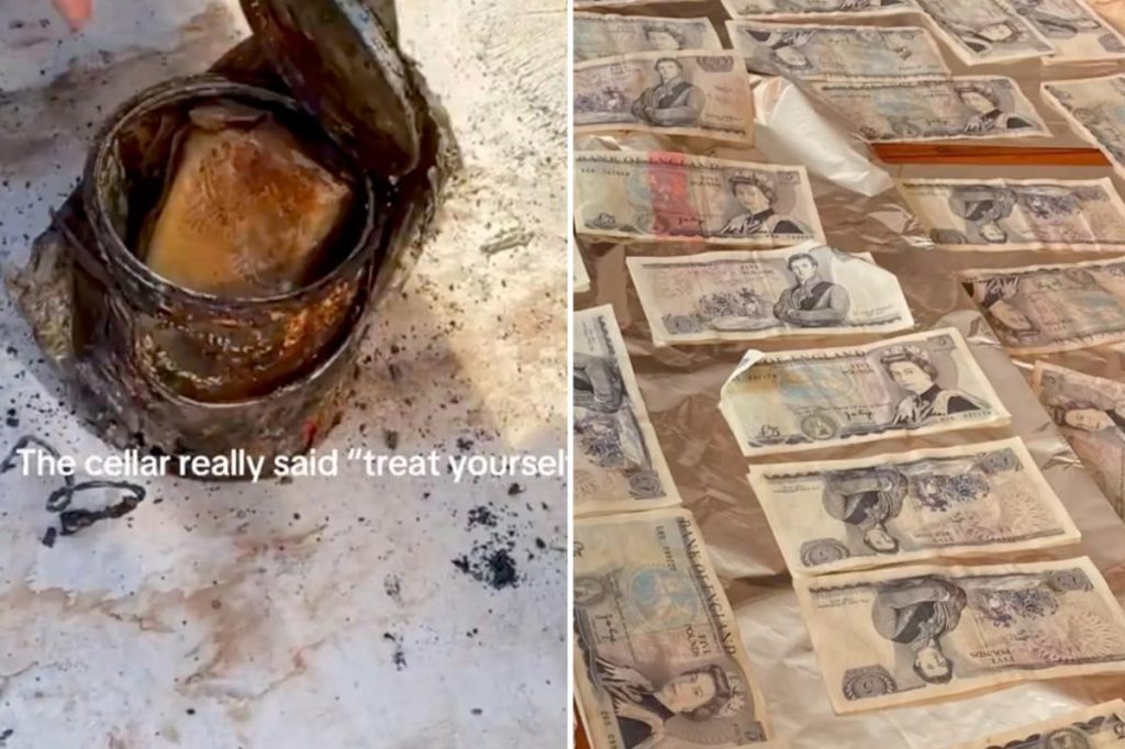 أصيب زوجان بالصدمة عندما اكتشفا أكوامًا من الأموال مدفونة داخل المنزل