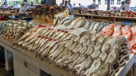 قبل ما تشتري.. الجمبري يقفز 50 جنيهًا والبلطي يبدأ من 69 جنيهًا