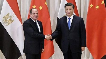 أستاذ علوم سياسية: التعاون الاقتصادي والقضايا الدولية على مائدة القمة المصرية الصينية