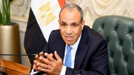 عبدالعاطي: نرفض انتهاكات إسرائيل بحق الفلسطينيين وأي مساس بحقوقهم غير القابلة للتصرف