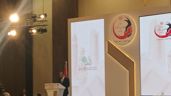 وزير الخارجية: توجيهات رئاسية بإيلاء أقصى درجات الرعاية لأبناء مصر في الخارج