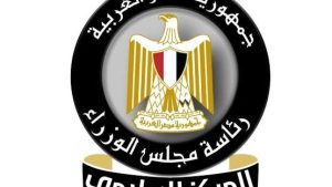 إعلامي الوزراء يستعرض قصة نجاح أبطال القاطرات البحرية في مواجهة حادث سفينتي ميناء دمياط