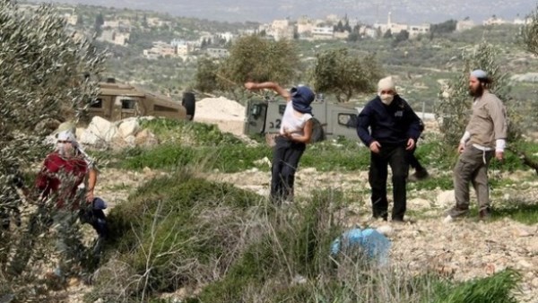 مستوطنون إسرائيليون ينفذون جولات استفزازية في “خلايل اللوز” ببيت لحم