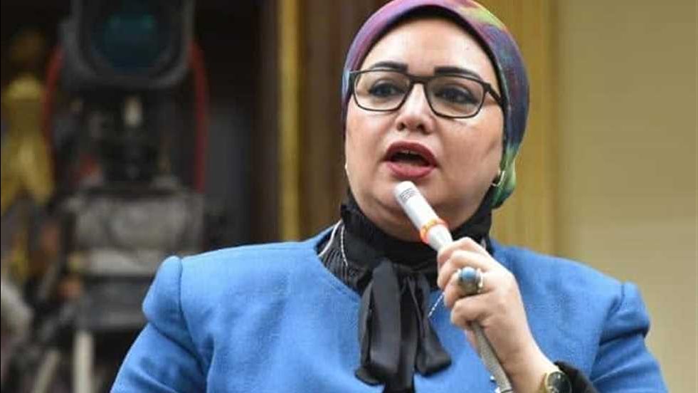 تحرك برلمانى لتنفيد مبادرة القرى المنتجة وربطها بالأسواق والاستثمار والتصدير