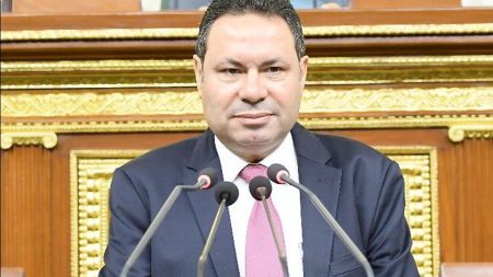 برلماني: سد «جوليوس نيريري» يجسد طفرة العلاقات المصرية الإفريقية