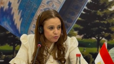 القومي لحقوق الإنسان يستعرض التجربة المصرية في مؤتمر دولي بأوزبكستان