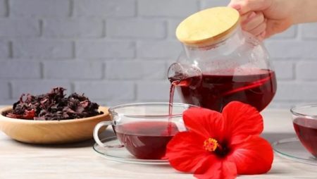 فوائد ومحاذير.. ماذا يحدث لجسمك عند شرب الكركديه يوميًا؟
