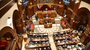 برلماني: اجتماع وسطاء غزة بالقاهرة يجسد الثقة الدولية في مصر