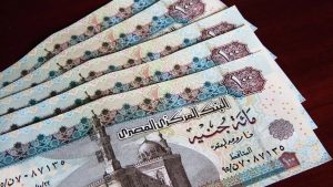 من الطوابير إلى الخدمات الإلكترونية.. رحلة تطوير التأمينات الاجتماعية