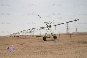 كل قطرة بتفرق .. كيف ساهمت إعادة استخدام مياه الصرف في توسيع الرقعة الزراعية؟