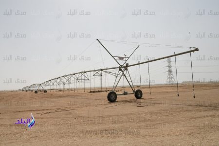 كل قطرة بتفرق .. كيف ساهمت إعادة استخدام مياه الصرف في توسيع الرقعة الزراعية؟