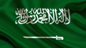 تقرير : 76.9% نسبة التسوق الإلكتروني في السعودية .. والنساء في الصدارة