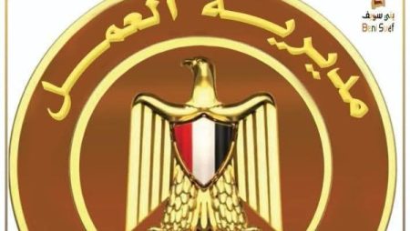 مديرية العمل ببني سويف توفر 895 فرصة عمل و297 عقدًا بالخارج خلال يوليو