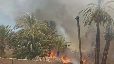 النيران تلتهم حوش مواشي بإحدى قري سوهاج.. نفوق أغنام وعدد من الطيور