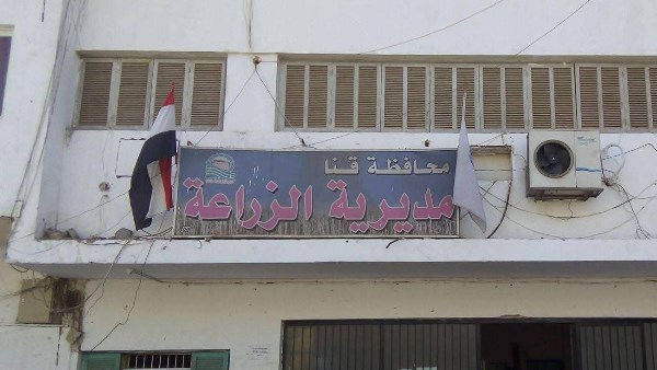 زراعة قنا: صرف 580 ألف شكارة أسمدة للموسم الصيفي حتى الآن