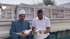 أخبار أسوان | تسليم 3 أطنان لحوم لتوزيعها على الأسر ..تشميع 5 مطاعم بحي غرب.. تحسين النظافة والإنارة بـ كوم أمبو