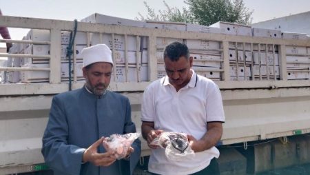 أخبار أسوان | تسليم 3 أطنان لحوم لتوزيعها على الأسر ..تشميع 5 مطاعم بحي غرب.. تحسين النظافة والإنارة بـ كوم أمبو