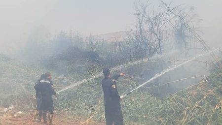 حريق بالحلف والهيش بأحد الأخوار الجبلية بمطلع الصداقة الجديدة دون وقوع إصابات في أسوان
