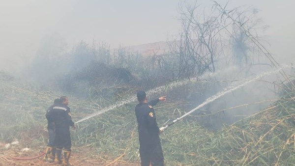 حريق بالحلف والهيش بأحد الأخوار الجبلية بمطلع الصداقة الجديدة دون وقوع إصابات في أسوان