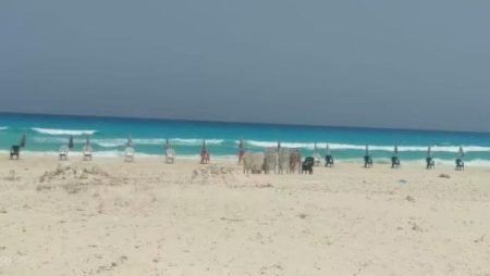 خارج الخدمة.. شواطئ مرسى مطروح والإسكندرية تواصل الإغلاق وتحذيرات من نزول البحر
