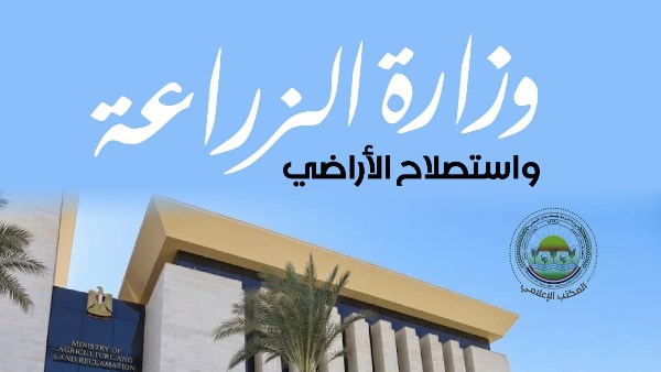 ليمون مصر 25.. الزراعة تسجل صنفا جديدا خاليا من البذور والأشواك