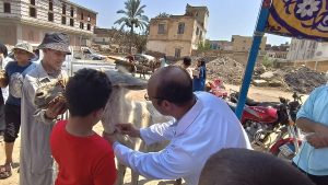 محافظ الدقهلية يتابع أعمال القافلة البيطرية الشاملة بقرية «إصلاح الغيط» التابعة لإدارة جمصة البيطرية