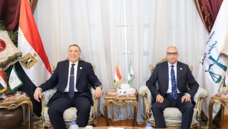 رئيس مجلس الدولة : المحكمة الدستورية العليا الحارس الأمين على تطبيق الدستور
