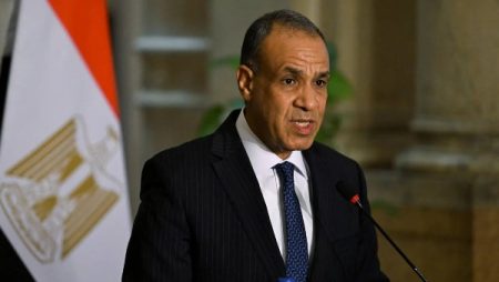 وزير الخارجية: مصر ترفض أي محاولات لتهجير الشعب الفلسطيني أو تصفية قضيته