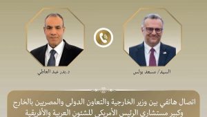 وزير الخارجية يؤكد تمسك مصر بوحدة السودان وسيادته ويدعو لإعلاء الحوار والتفاوض لإنهاء النزاع