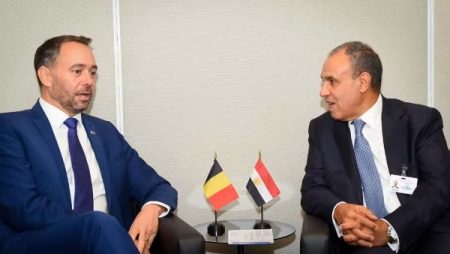 وزير الخارجية يطالب بدعم الدول المستضيفة للاجئين.. ويبحث مع نظيره البلجيكي خفض التصعيد