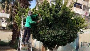 قبل انطلاق الدراسة.. حملات مكثفة لتجميل مدارس السويس ورفع كفاءة محيطها
