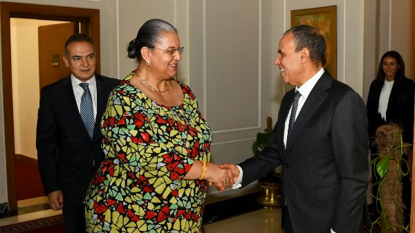 وزير الخارجية يبحث مع المبعوثة الأممية إلى ليبيا مستجدات العملية السياسية