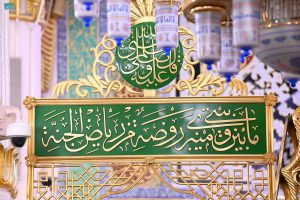 حكم الصلاة في الروضة الشريفة خلال أوقات الكراهة.. الإفتاء توضح