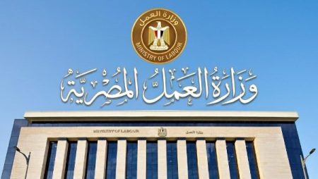 200 فرصة لعمال النخيل بالواحات البحرية.. براتب 9 آلاف جنيه