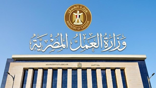 200 فرصة لعمال النخيل بالواحات البحرية.. براتب 9 آلاف جنيه