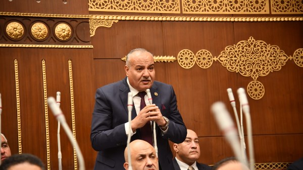 برلماني: كلمة مصر أمام الأمم المتحدة عكست قوة الدولة وثبات مواقفها تجاه القضايا الإقليمية والدولية